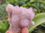 Natural Dark Amethyst Spirit Quartz Clusters x 4 From Boekenhouthoek, South Africa - Toprock Gemstones and Minerals 