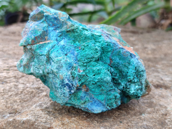 Natural Blue Shattuckite Specimens x 6 From Kaokoveld, Namibia