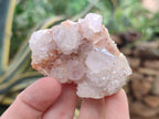 Natural Ametrine Spirit Quartz Clusters x 12 From Boekenhouthoek, South Africa - Toprock Gemstones and Minerals 