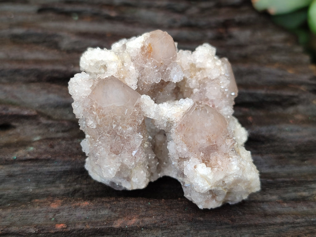 Natural Ametrine Spirit Quartz Clusters x 12 From Boekenhouthoek, South Africa - Toprock Gemstones and Minerals 