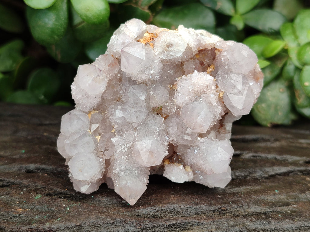 Natural Ametrine Spirit Quartz Clusters x 12 From Boekenhouthoek, South Africa - Toprock Gemstones and Minerals 