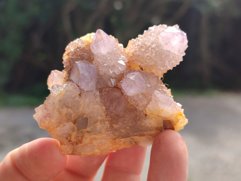 Natural Ametrine Spirit Quartz Clusters x 12 From Boekenhouthoek, South Africa - Toprock Gemstones and Minerals 