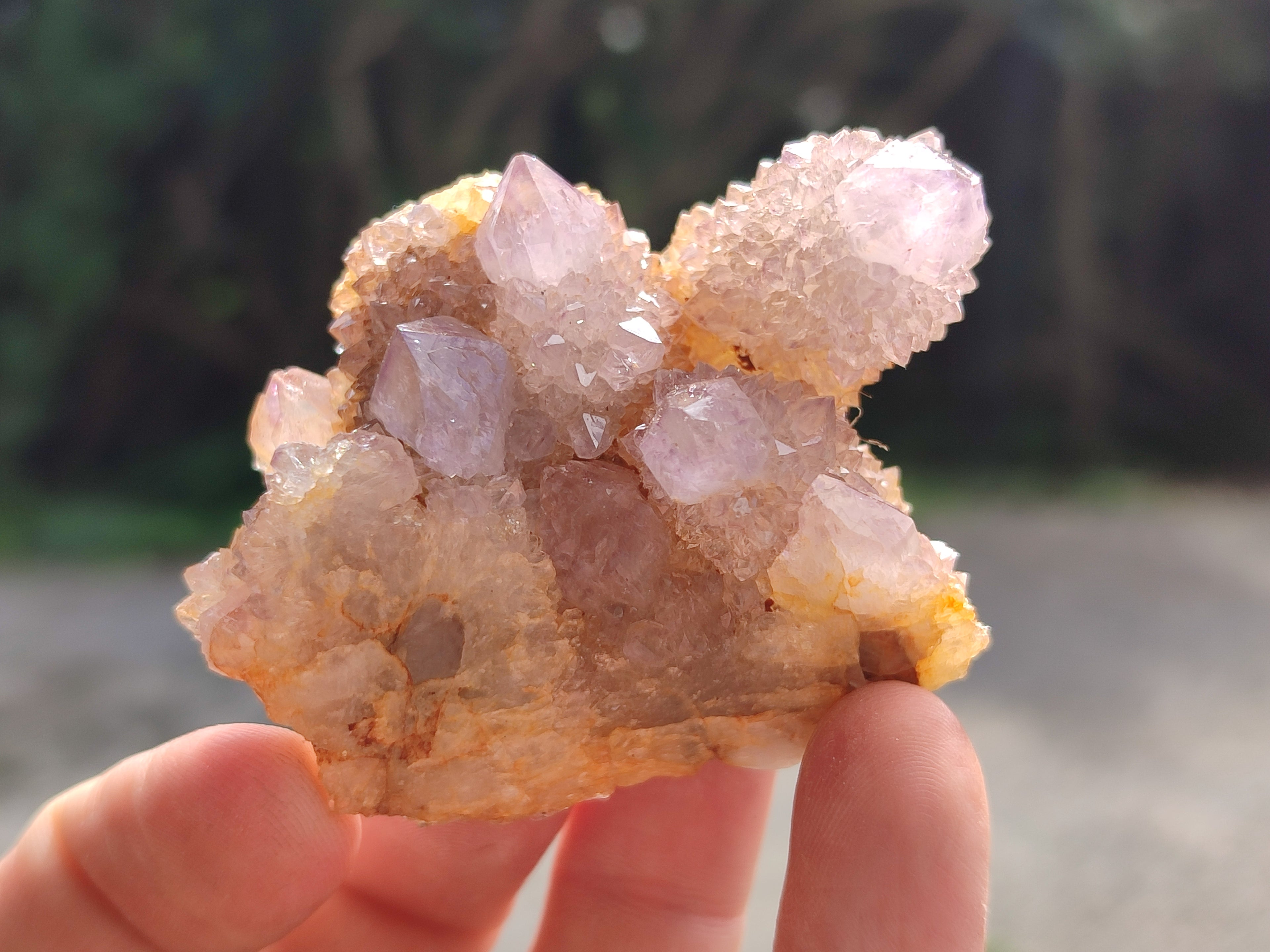 Natural Ametrine Spirit Quartz Clusters x 12 From Boekenhouthoek, South Africa - Toprock Gemstones and Minerals 