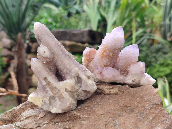 Natural Ametrine Spirit Quartz Clusters x 12 From Boekenhouthoek, South Africa