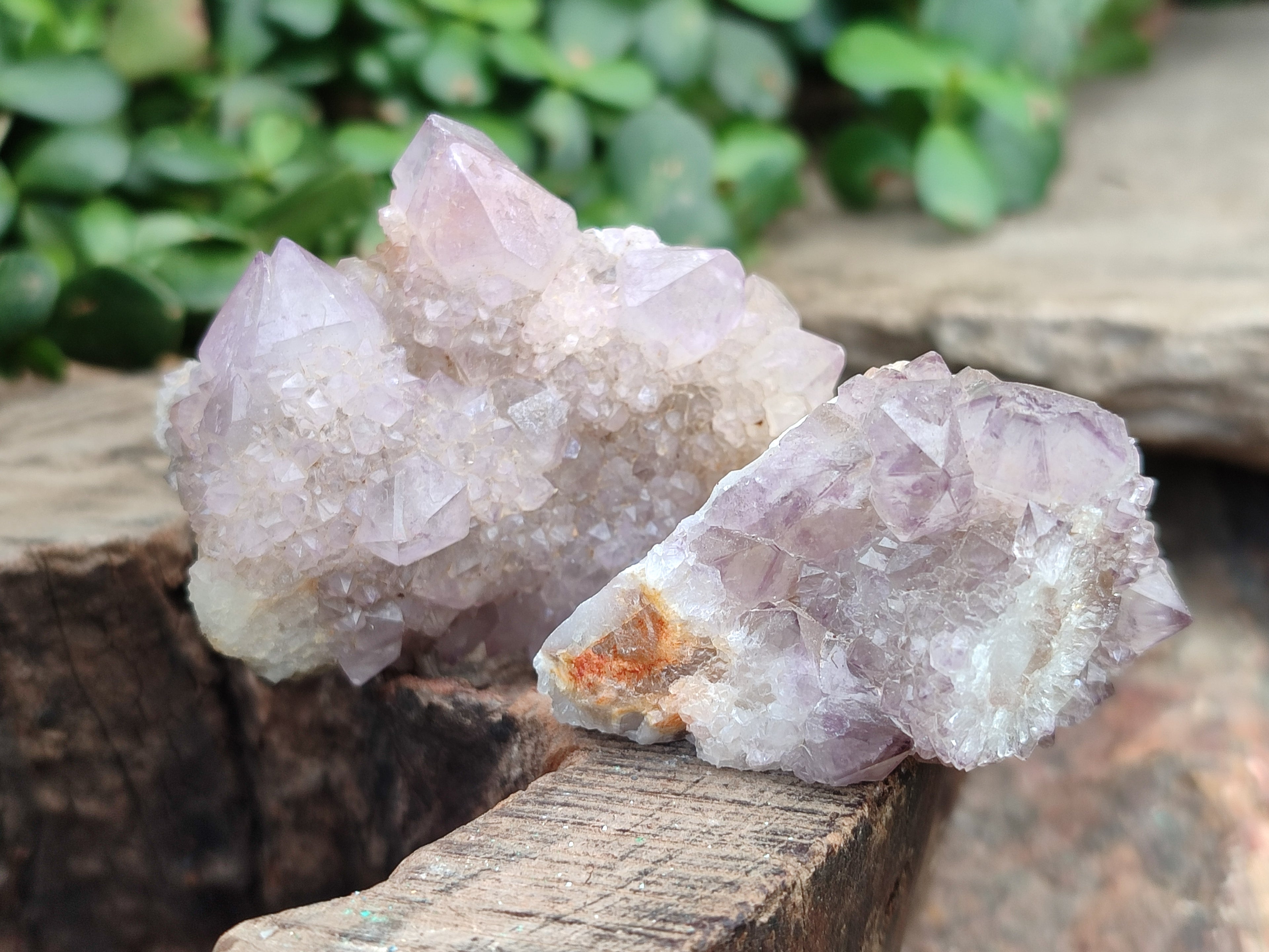 Natural Ametrine Spirit Quartz Clusters x 12 From Boekenhouthoek, South Africa - Toprock Gemstones and Minerals 