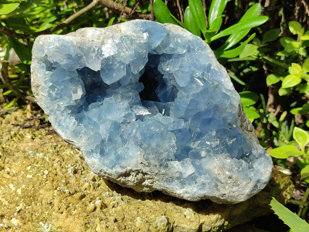 Natural Celestite Geode Specimens x 1 From Sakoany, Madagascar - Toprock Gemstones and Minerals 