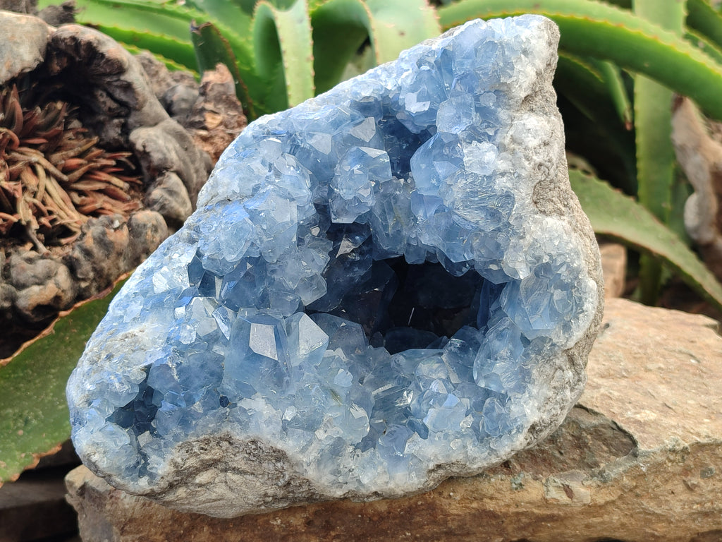 Natural Celestite Geode Specimens x 1 From Sakoany, Madagascar - Toprock Gemstones and Minerals 