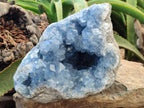Natural Celestite Geode Specimens x 1 From Sakoany, Madagascar - Toprock Gemstones and Minerals 