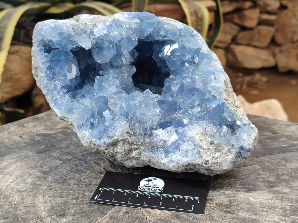 Natural Celestite Geode Specimens x 1 From Sakoany, Madagascar - Toprock Gemstones and Minerals 