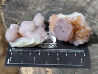 Natural Ametrine Spirit Quartz Clusters x 12 From Boekenhouthoek, South Africa