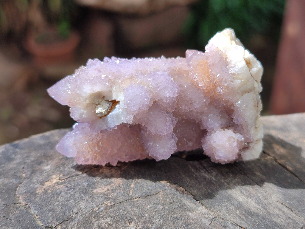 Natural Ametrine Spirit Quartz Clusters x 12 From Boekenhouthoek, South Africa - Toprock Gemstones and Minerals 