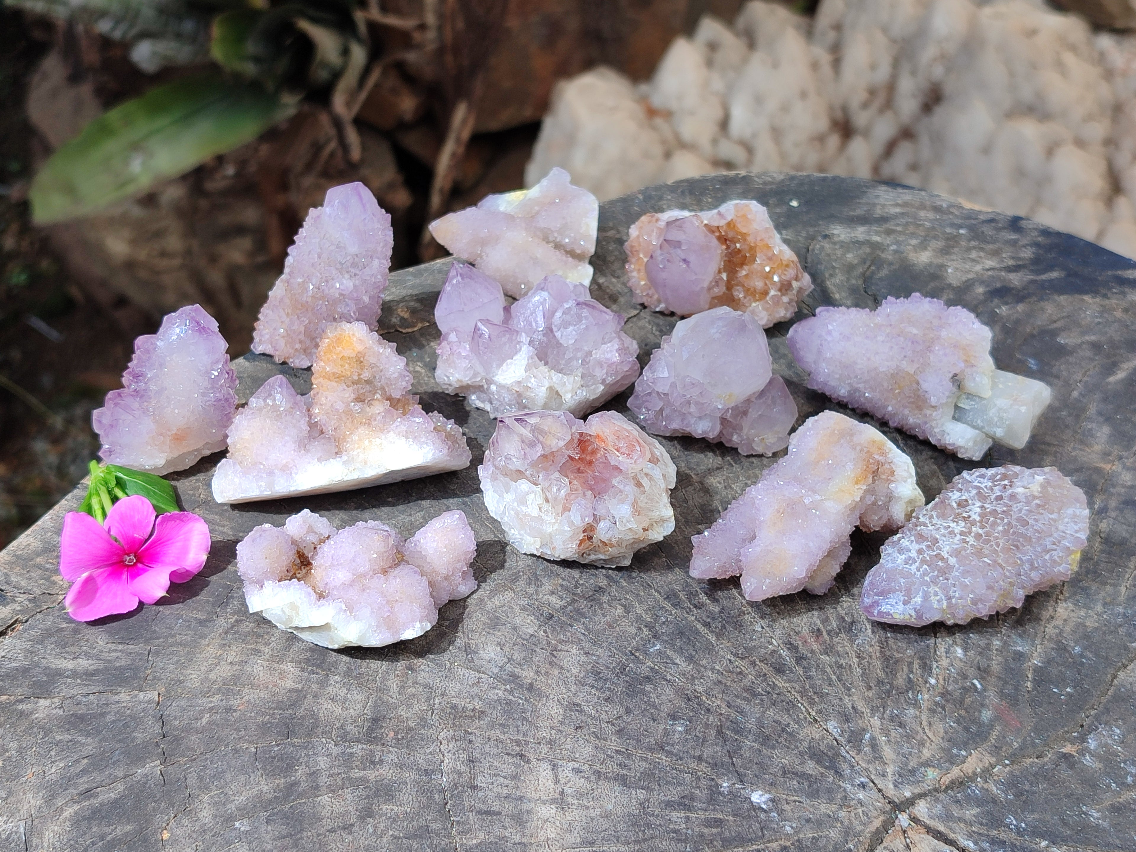 Natural Ametrine Spirit Quartz Clusters x 12 From Boekenhouthoek, South Africa - Toprock Gemstones and Minerals 