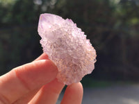 Natural Ametrine Spirit Quartz Clusters x 12 From Boekenhouthoek, South Africa