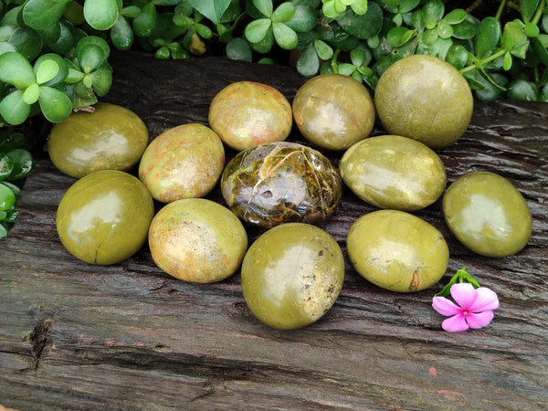Polished Green Opal Palm Stones x 12 From Betroka, Madagascar