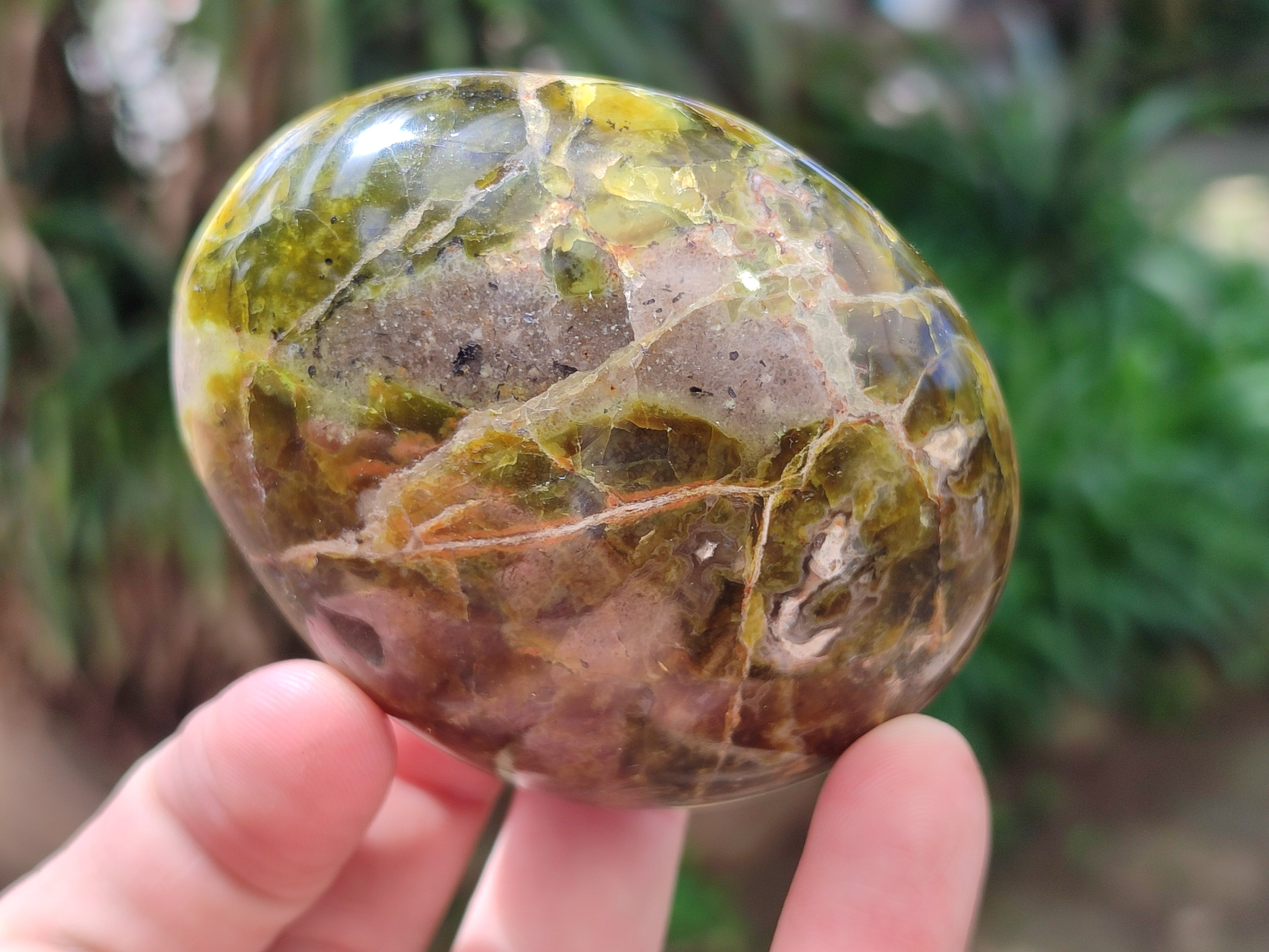 Polished Green Opal Palm Stones x 12 From Betroka, Madagascar - Toprock Gemstones and Minerals 