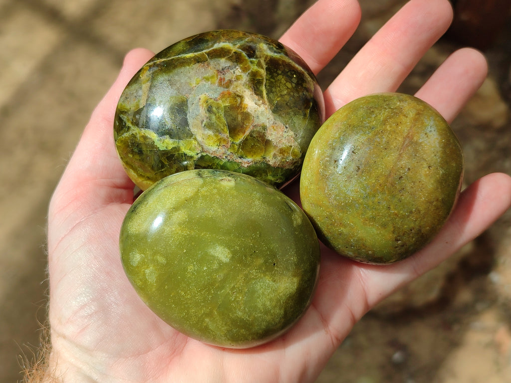 Polished Green Opal Palm Stones x 12 From Betroka, Madagascar - Toprock Gemstones and Minerals 