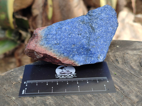 Natural Blue Dumortierite Cobbed Specimens x 12 From Mozambique
