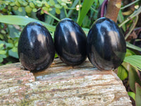 Polished Black Basalt Gemstone Eggs x 6 From Madagascar