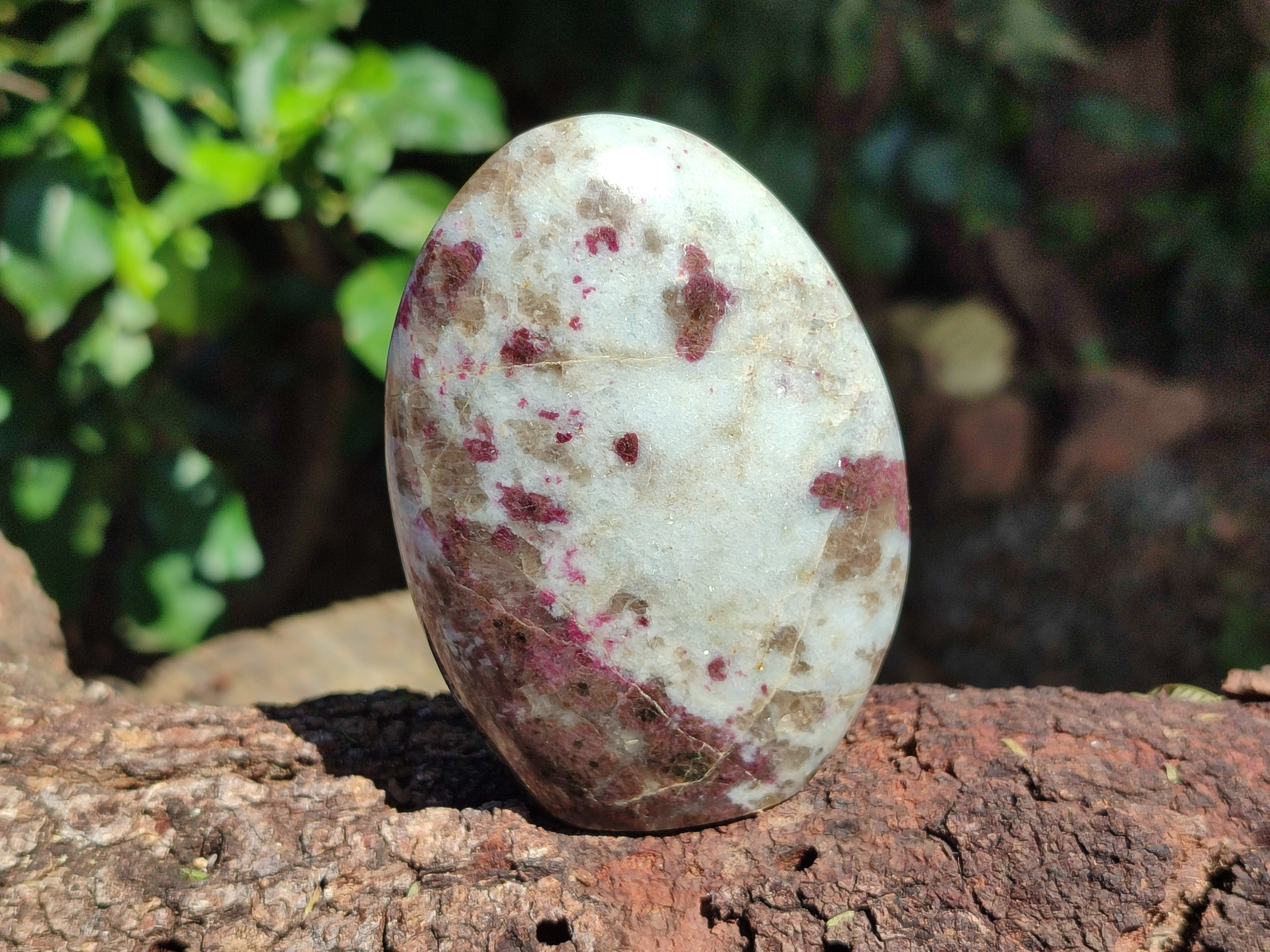 Polished Rubellite Pink Tourmaline Standing Free Forms x 3 From Madagascar - Toprock Gemstones and Minerals 