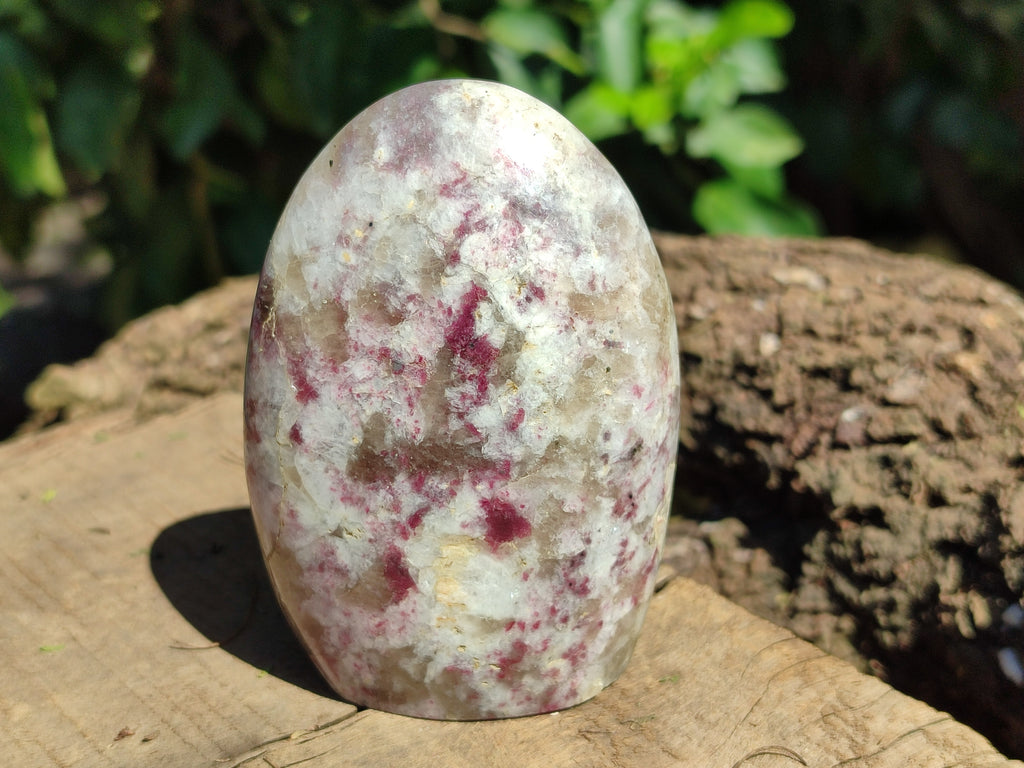 Polished Rubellite Pink Tourmaline Standing Free Forms x 3 From Madagascar - Toprock Gemstones and Minerals 