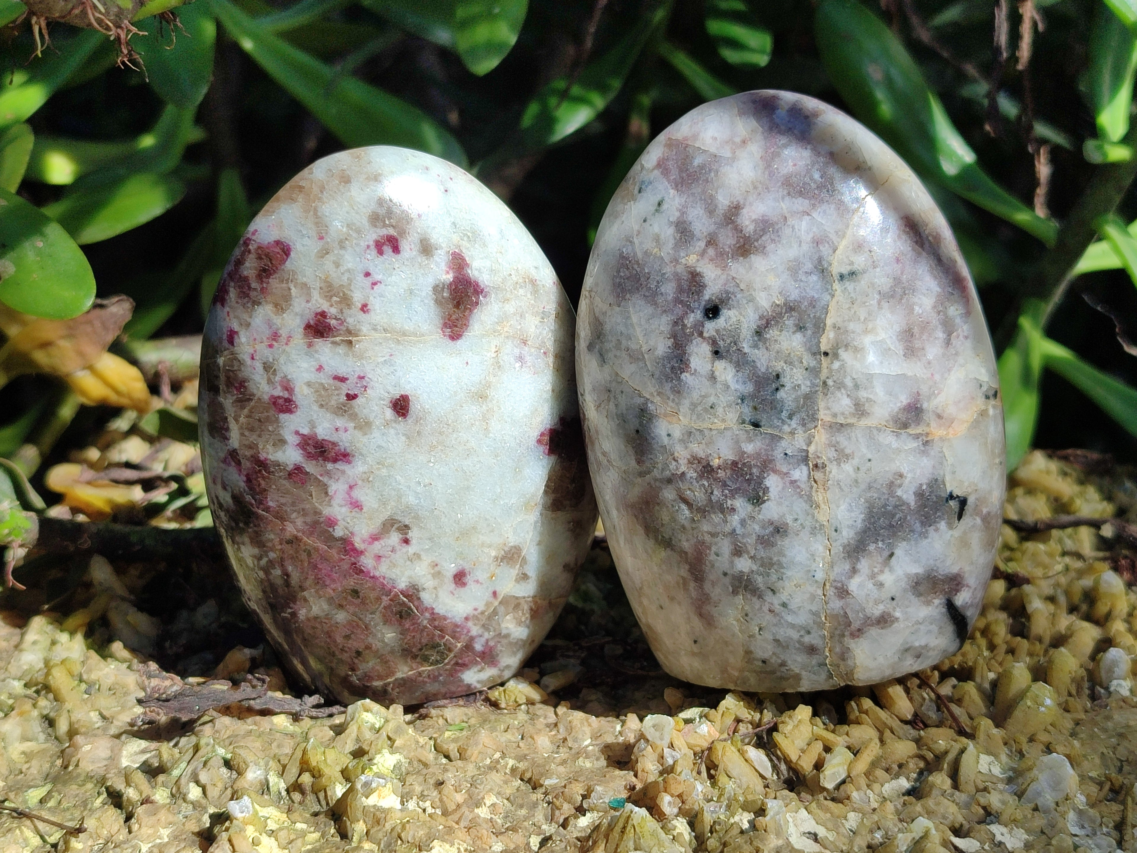 Polished Rubellite Pink Tourmaline Standing Free Forms x 3 From Madagascar - Toprock Gemstones and Minerals 