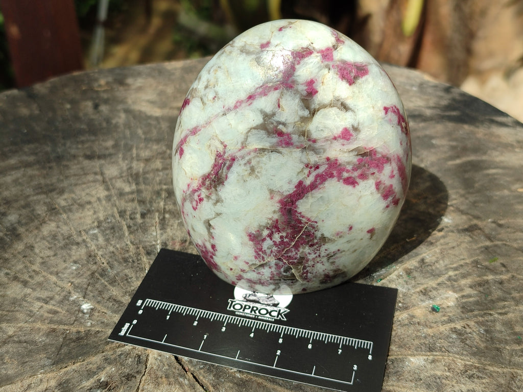 Polished Rubellite Pink Tourmaline Standing Free Forms x 3 From Madagascar - Toprock Gemstones and Minerals 