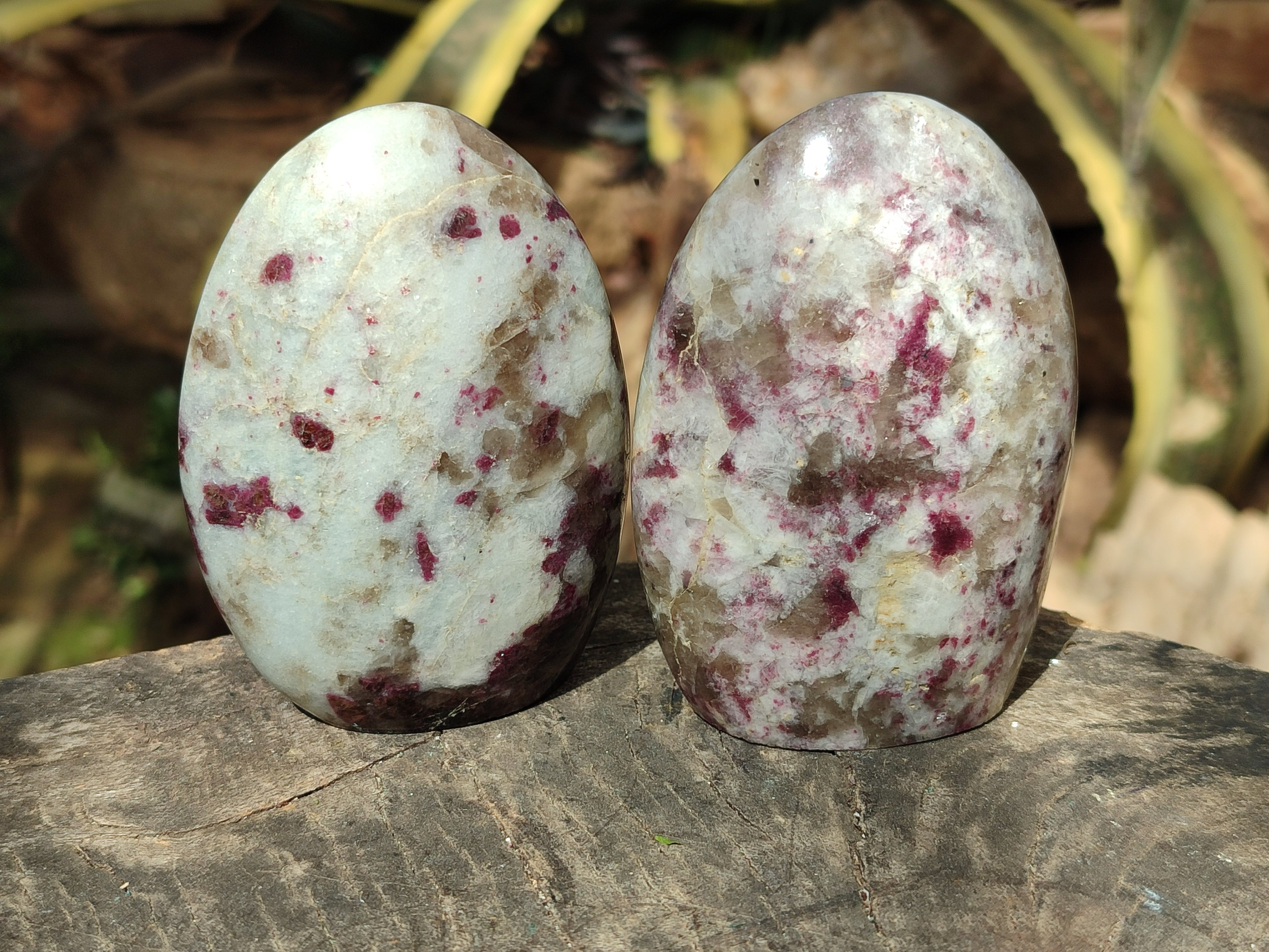 Polished Rubellite Pink Tourmaline Standing Free Forms x 3 From Madagascar - Toprock Gemstones and Minerals 