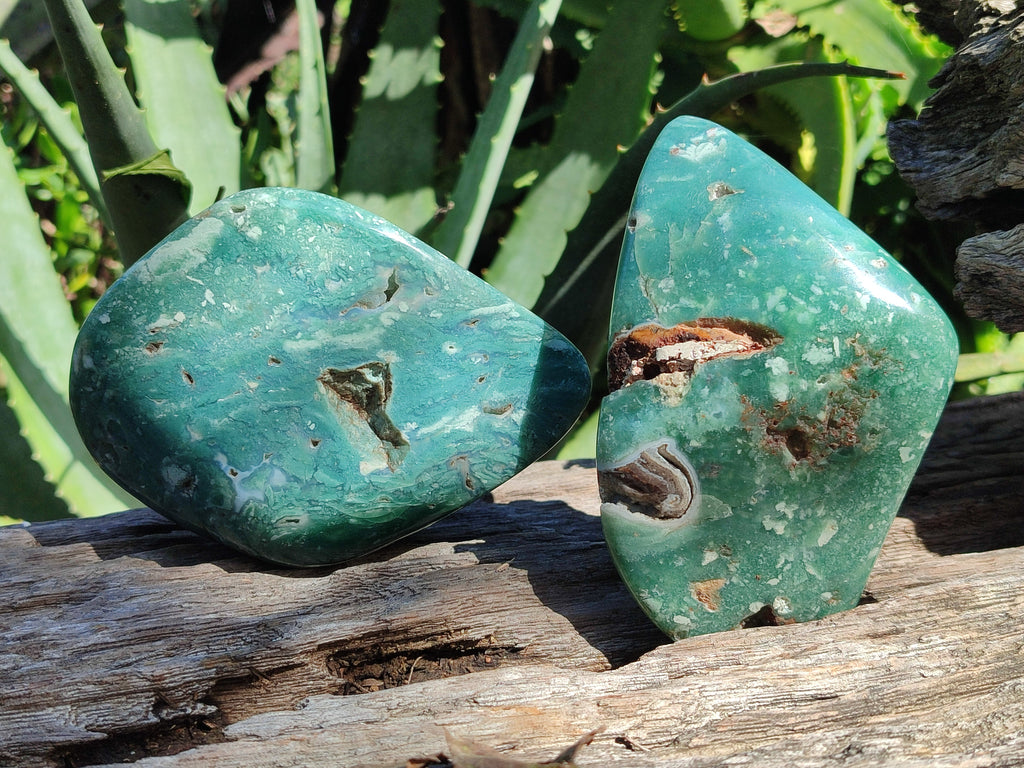 Polished Emerald Mtorolite Free Forms x 2 From Mutorashanga, Zimbabwe - Toprock Gemstones and Minerals 