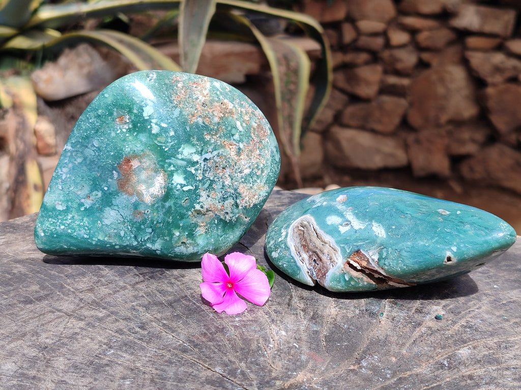 Polished Emerald Mtorolite Free Forms x 2 From Mutorashanga, Zimbabwe - Toprock Gemstones and Minerals 
