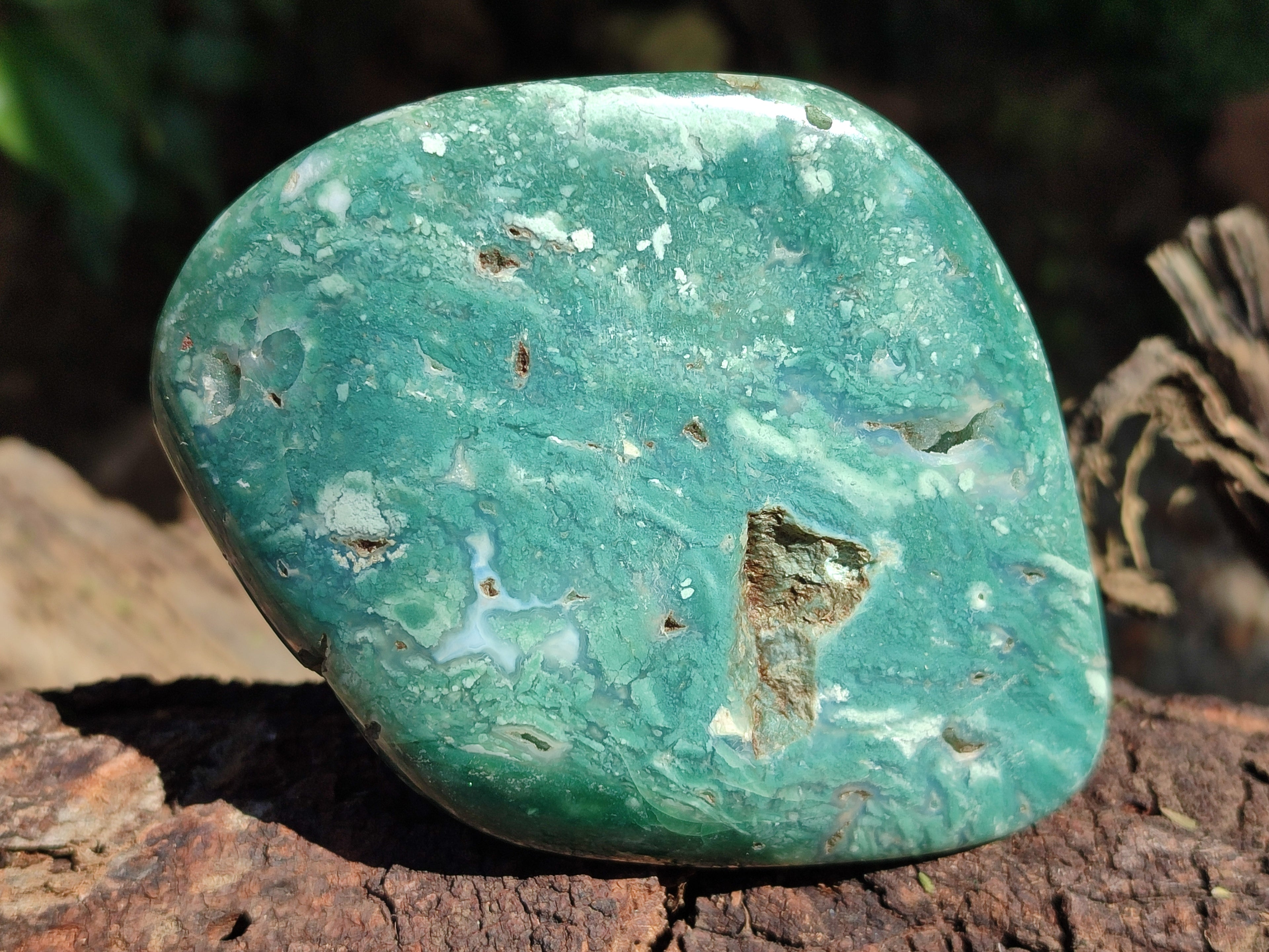 Polished Emerald Mtorolite Free Forms x 2 From Mutorashanga, Zimbabwe - Toprock Gemstones and Minerals 