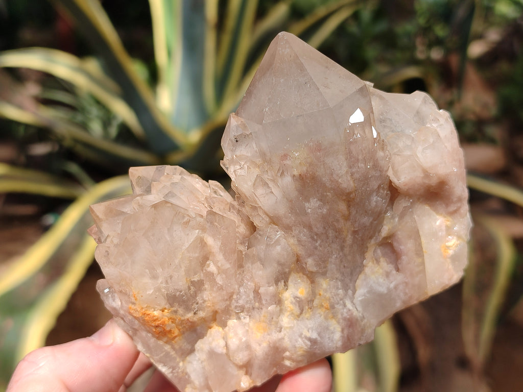 Natural Smokey Phantom Quartz Clusters x 4 From Luena, Congo - Toprock Gemstones and Minerals 