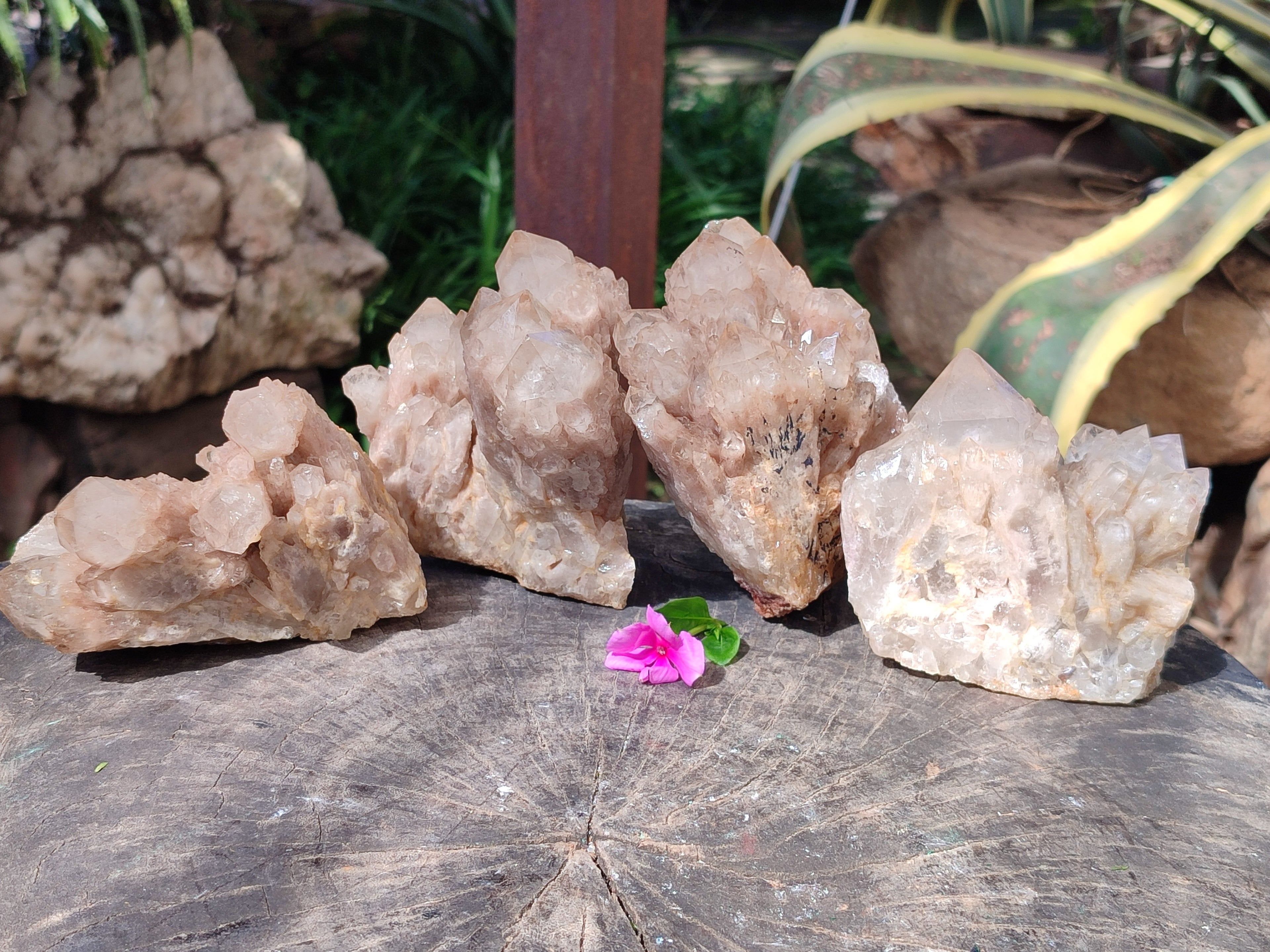 Natural Smokey Phantom Quartz Clusters x 4 From Luena, Congo - Toprock Gemstones and Minerals 