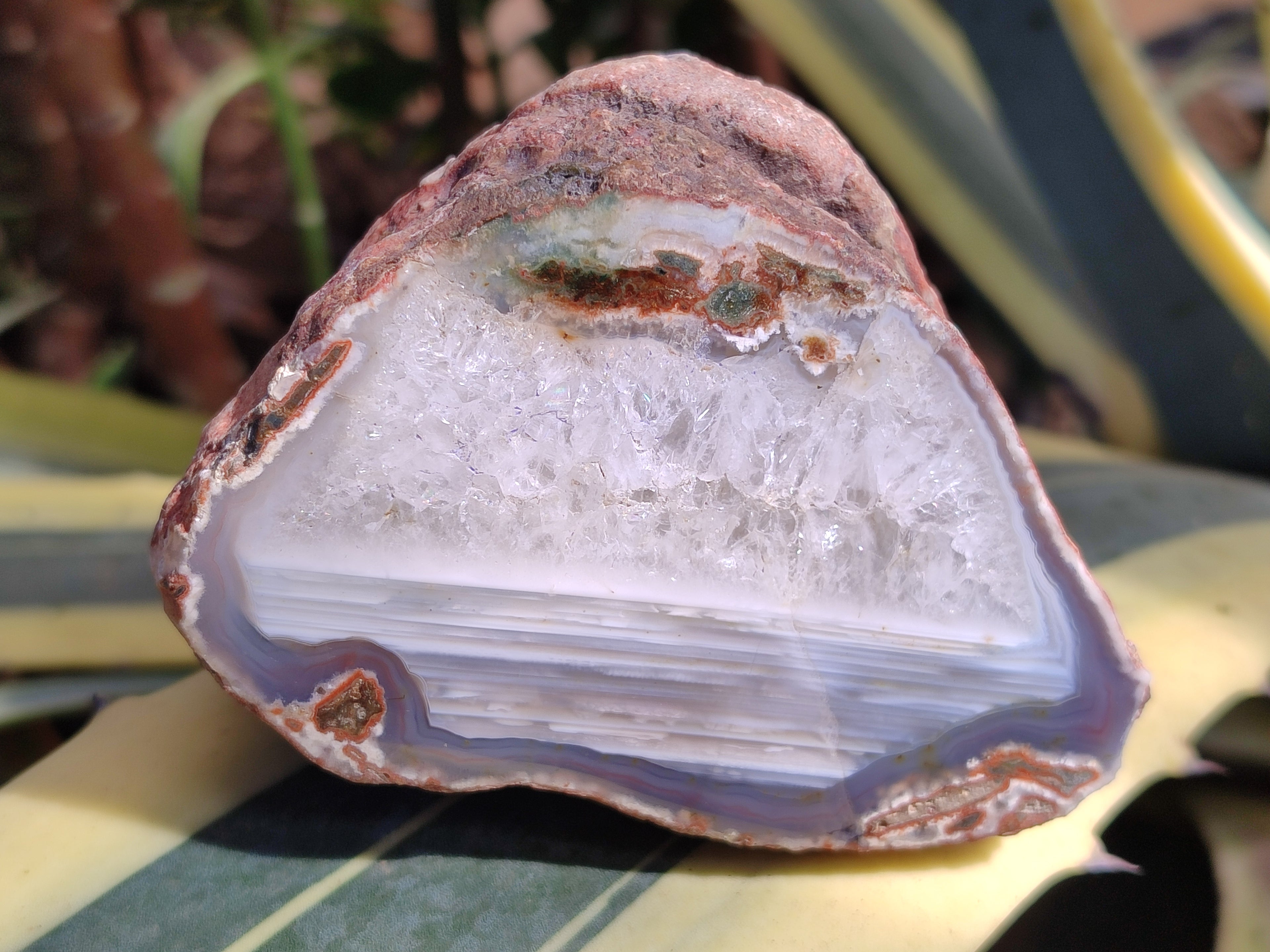 Polished On One Side Red Sashe River Agate Nodules x 4 From Zimbabwe - Toprock Gemstones and Minerals 