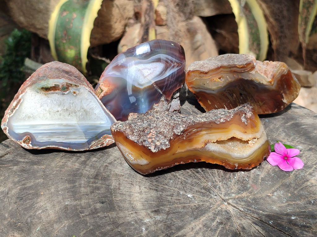 Polished On One Side Red Sashe River Agate Nodules x 4 From Zimbabwe - Toprock Gemstones and Minerals 