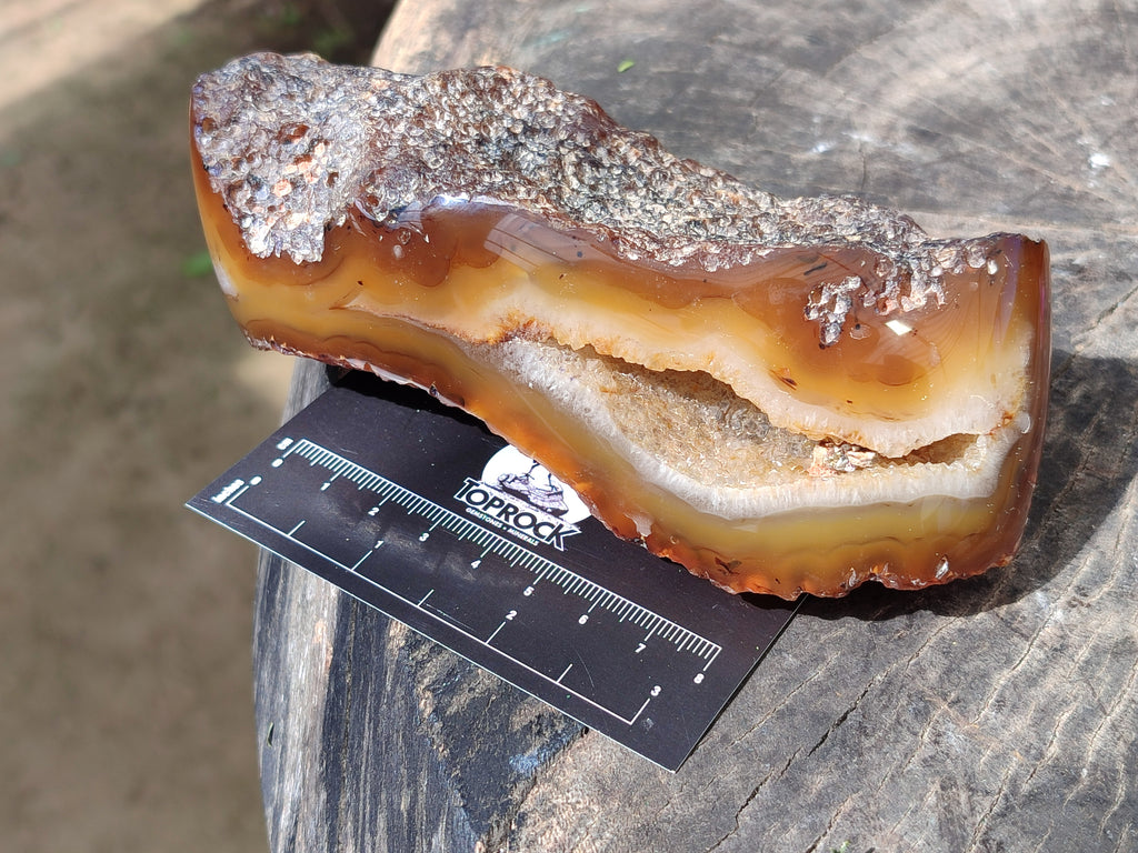 Polished On One Side Red Sashe River Agate Nodules x 4 From Zimbabwe - Toprock Gemstones and Minerals 