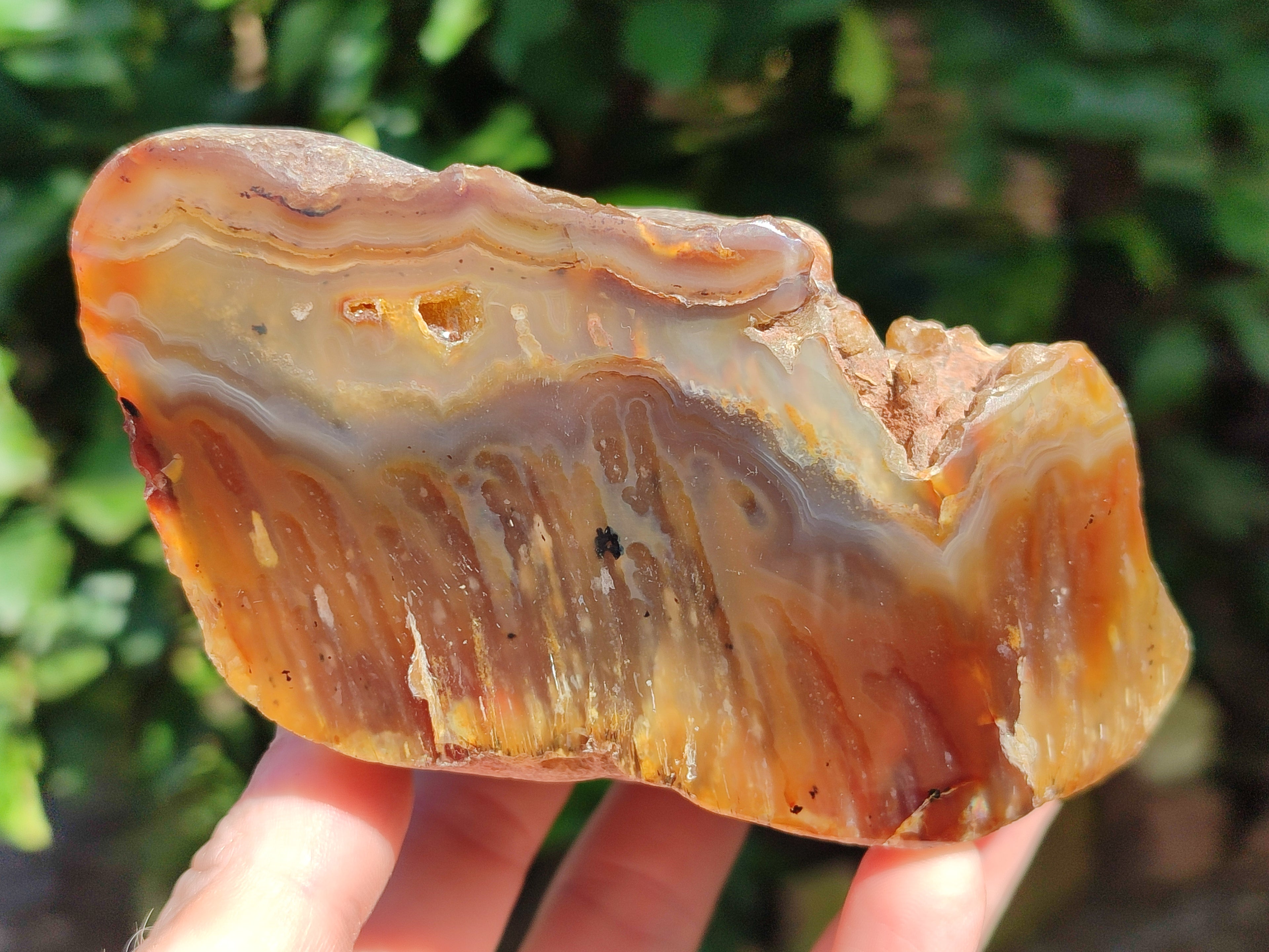 Polished On One Side Red Sashe River Agate Nodules x 4 From Zimbabwe - Toprock Gemstones and Minerals 