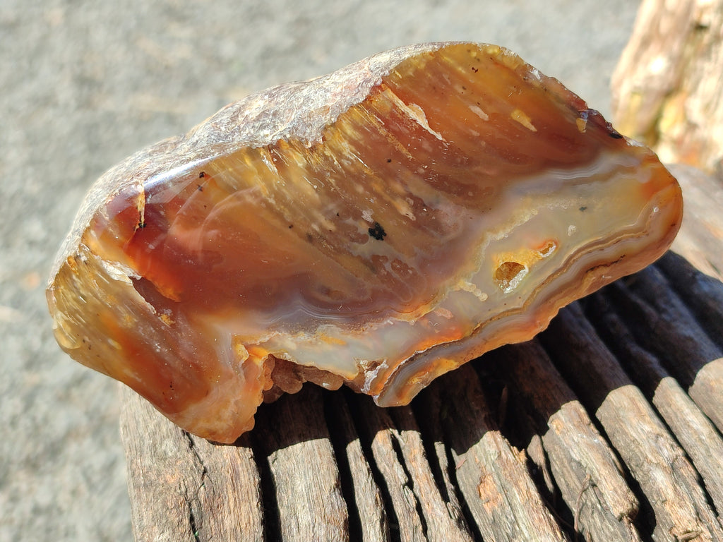 Polished On One Side Red Sashe River Agate Nodules x 4 From Zimbabwe - Toprock Gemstones and Minerals 