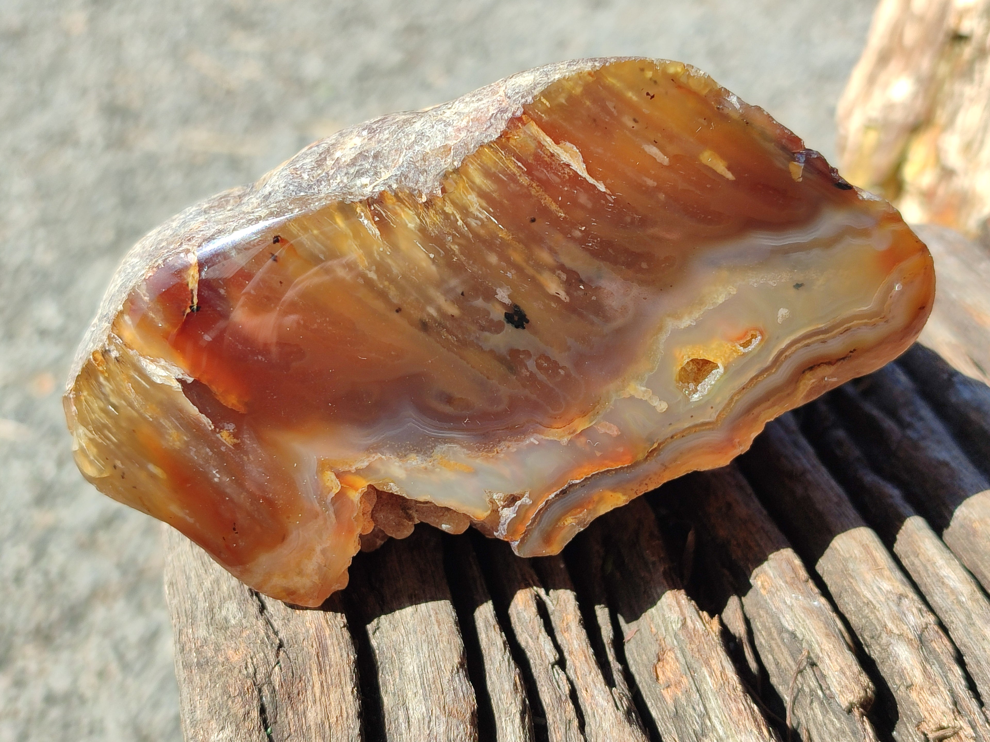 Polished On One Side Red Sashe River Agate Nodules x 4 From Zimbabwe - Toprock Gemstones and Minerals 