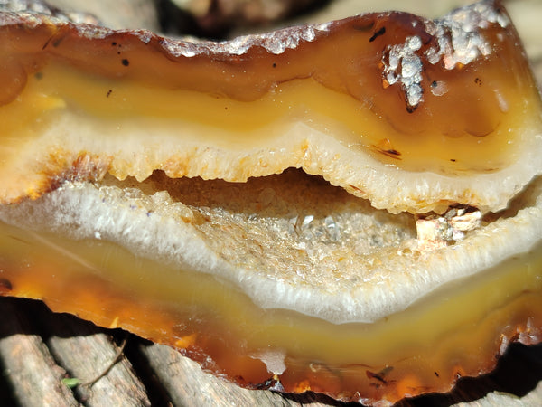 Polished On One Side Red Sashe River Agate Nodules x 4 From Zimbabwe