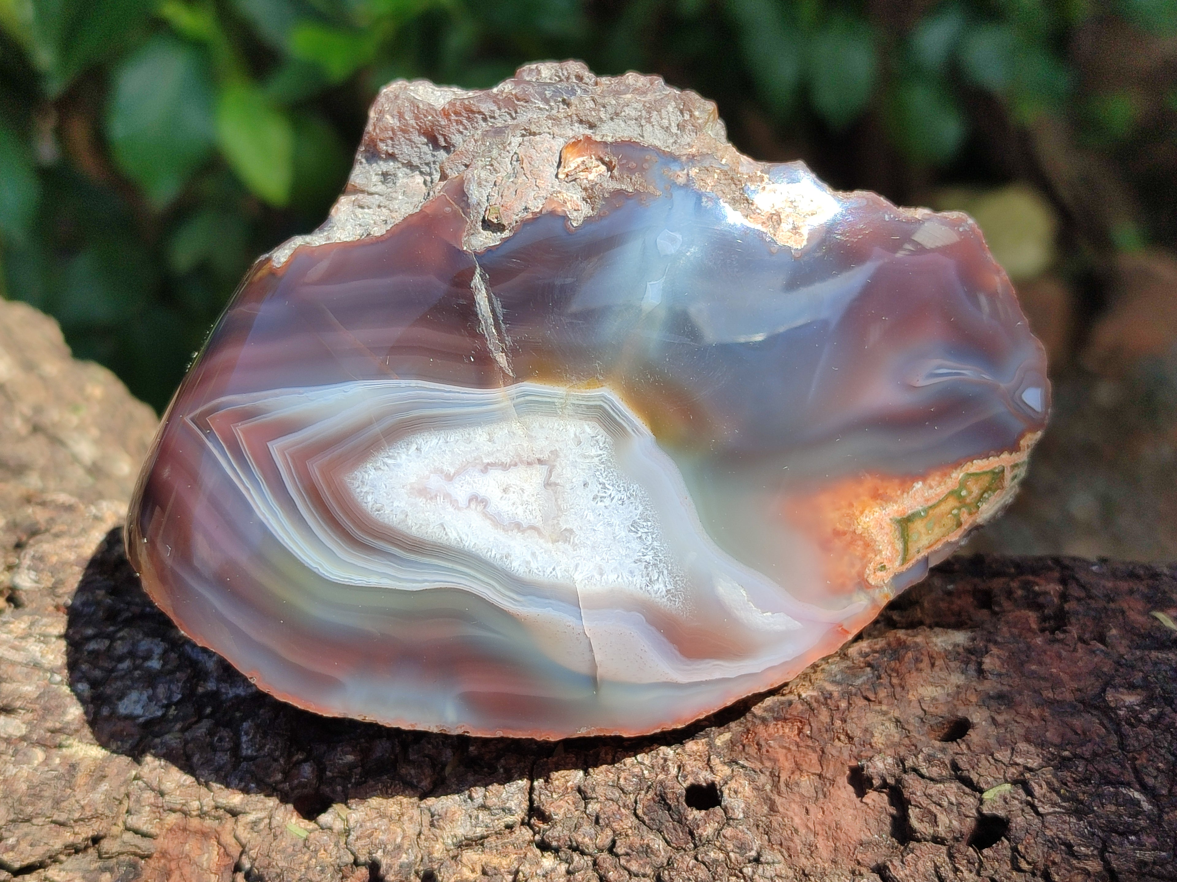 Polished On One Side Red Sashe River Agate Nodules x 4 From Zimbabwe - Toprock Gemstones and Minerals 