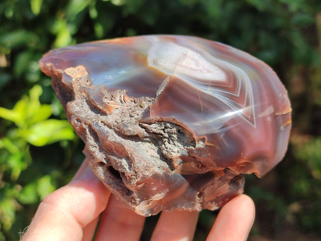 Polished On One Side Red Sashe River Agate Nodules x 4 From Zimbabwe - Toprock Gemstones and Minerals 