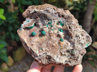 Natural Ball Malachite On Drusy Quartz and Dolomite Matrix Specimens x 2 From Kambove, Congo
