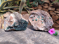Natural Ball Malachite On Drusy Quartz and Dolomite Matrix Specimens x 2 From Kambove, Congo