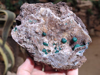Natural Ball Malachite On Drusy Quartz and Dolomite Matrix Specimens x 2 From Kambove, Congo