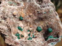 Natural Ball Malachite On Drusy Quartz and Dolomite Matrix Specimens x 2 From Kambove, Congo