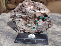 Natural Ball Malachite On Drusy Quartz and Dolomite Matrix Specimens x 2 From Kambove, Congo