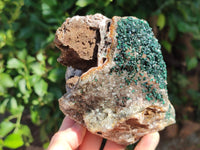 Natural Ball Malachite On Drusy Quartz and Dolomite Matrix Specimens x 2 From Kambove, Congo