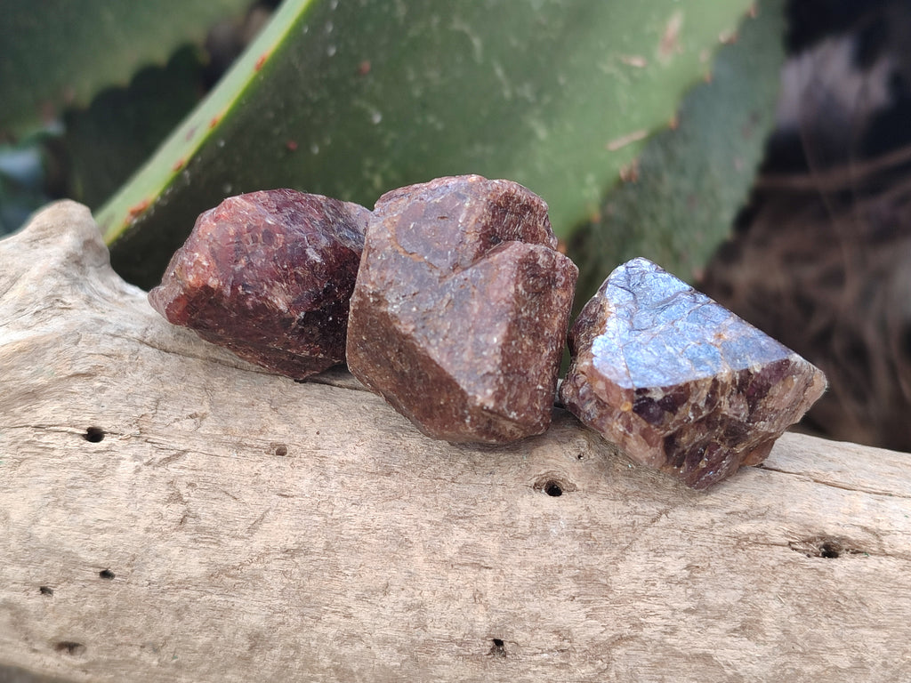 Natural Adamantine Zircon Crystals with Lustre x 53 From Malawi - Toprock Gemstones and Minerals 