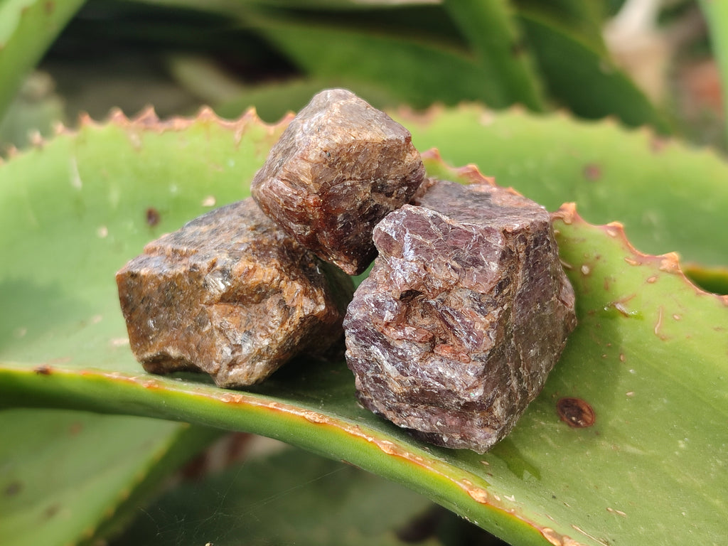 Natural Adamantine Zircon Crystals with Lustre x 53 From Malawi - Toprock Gemstones and Minerals 
