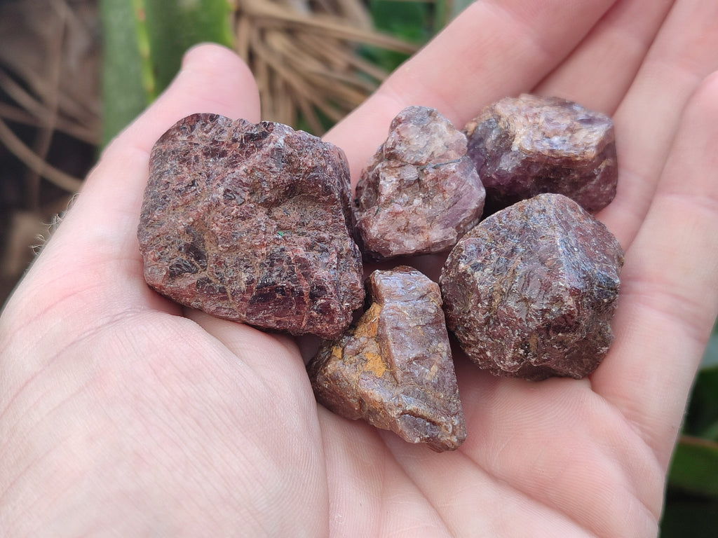 Natural Adamantine Zircon Crystals with Lustre x 53 From Malawi - Toprock Gemstones and Minerals 